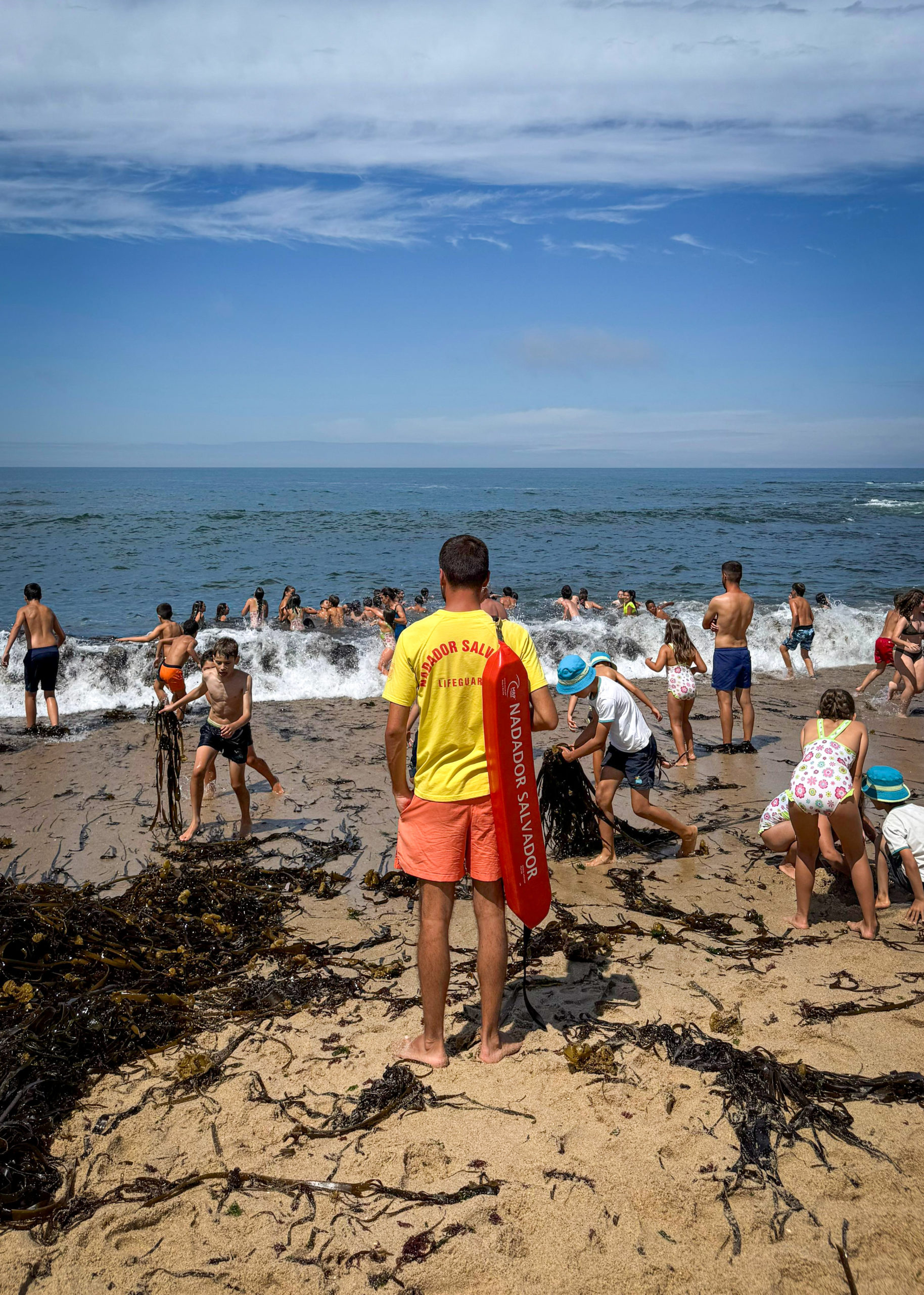Nadadores-salvadores a vigiar a praia